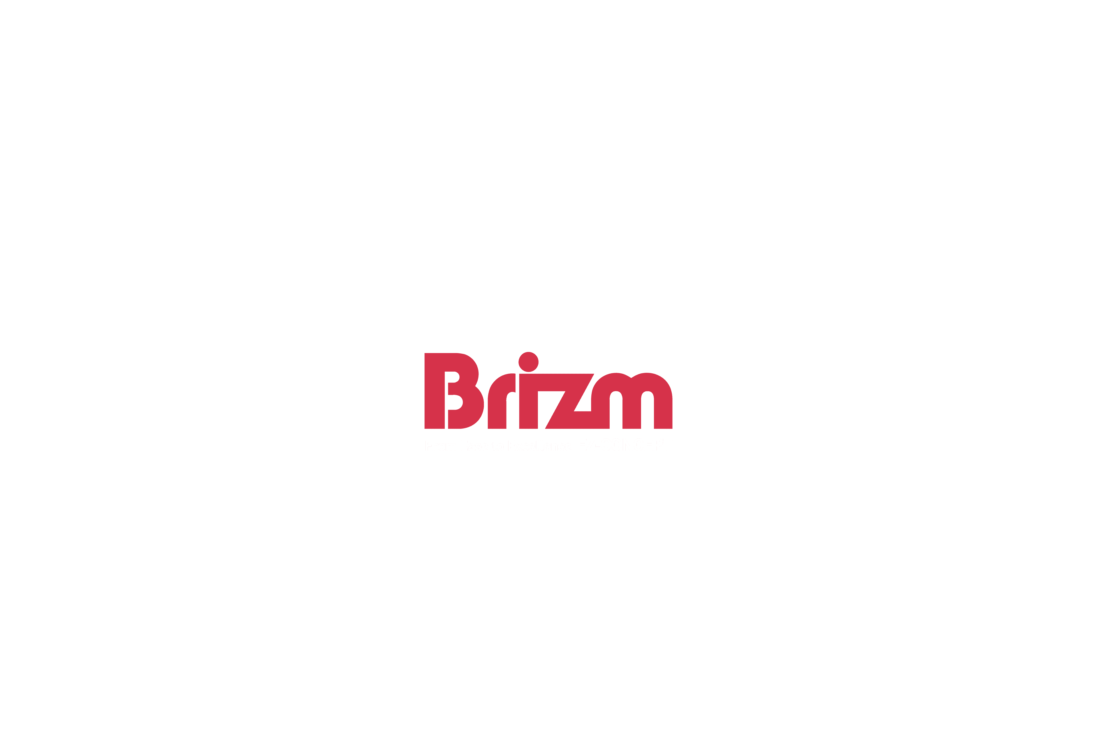 Brizm — From Ease to Excellence, EZ-CONCEPT